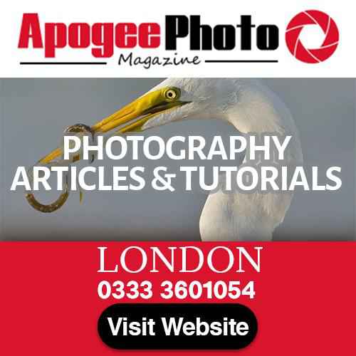 Responsive image