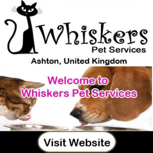 Responsive image
